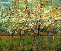 �������`�������ڻ��